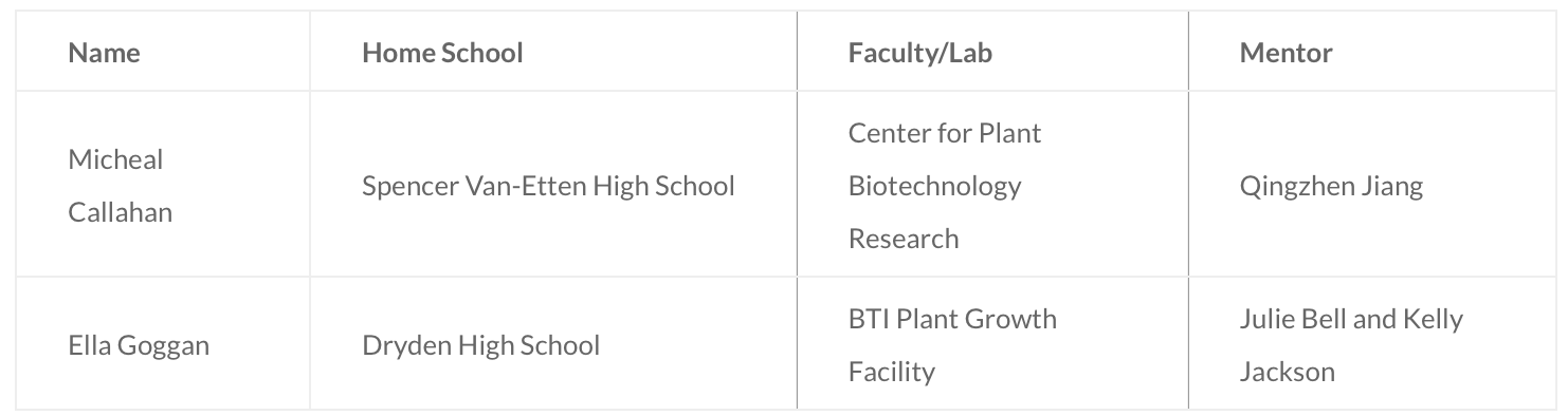Bti Welcomes 2023 High School Research Experience Workforce Advantage